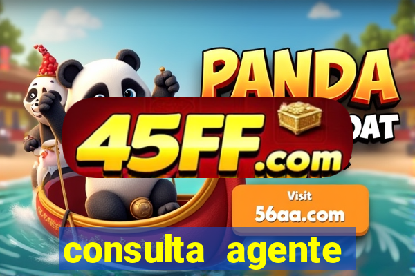 consulta agente autuador sp